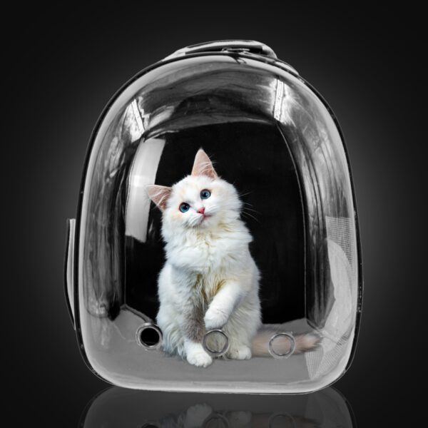 Mochila Pet Visão Panorâmica Passeios Astronauta - Imagem 8