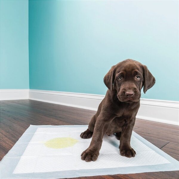 Tapete Higiênico Pet Good Pad Slim 60cm x 60cm 30 Unidades - Imagem 6