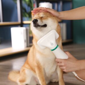 Escova Secadora De Pelos Para Pet Cachorro Gato. Cor: Branco