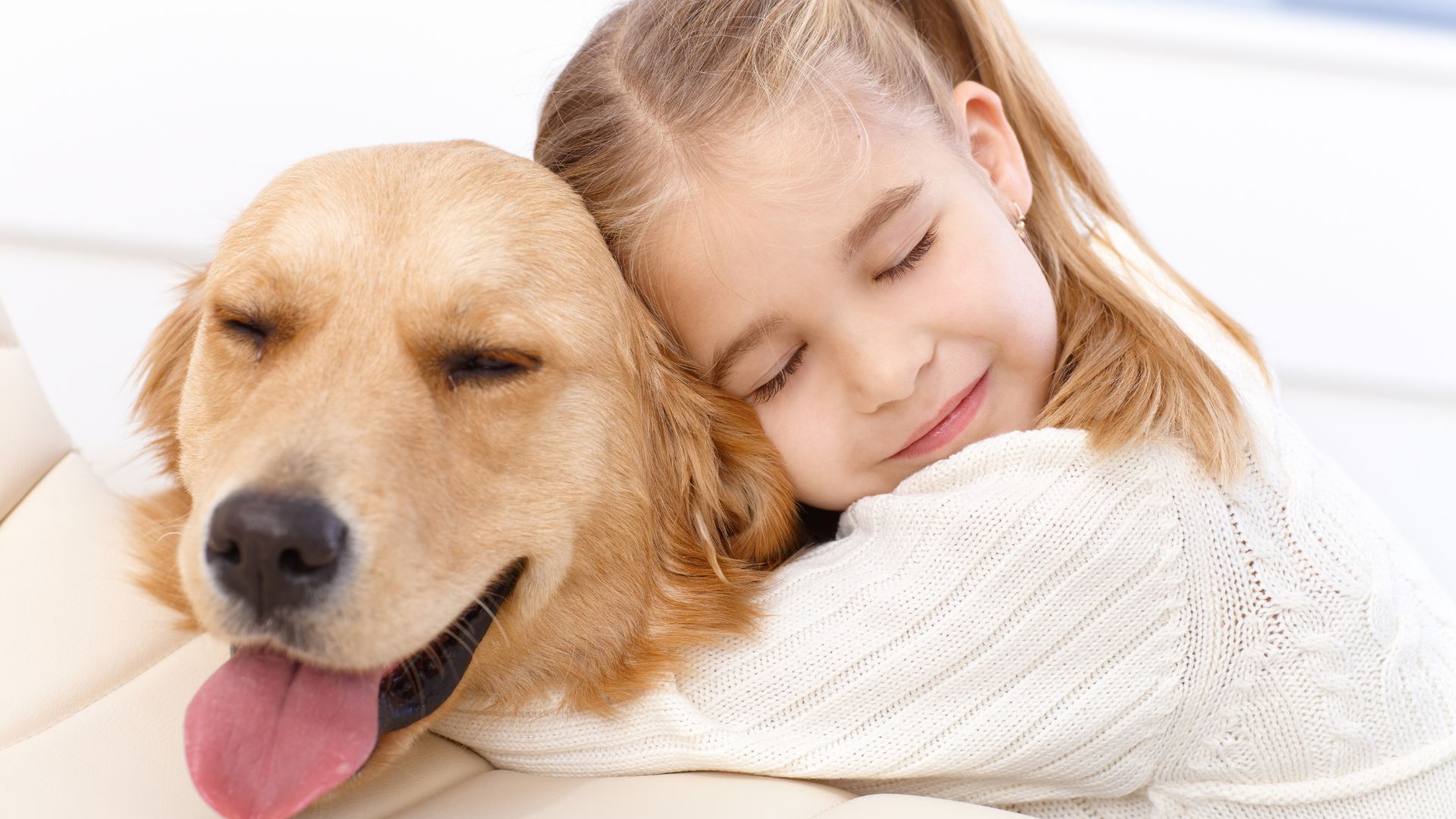 Amor por pet
