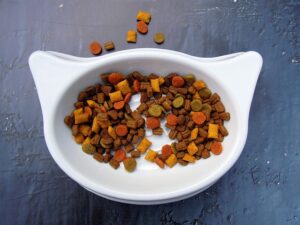 Dieta Naturais para Pets