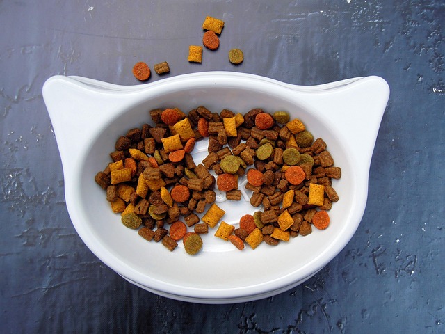 Dieta Naturais para Pets
