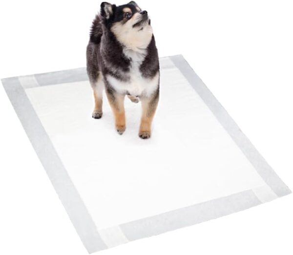 Good Pad Tapete Higiênico Para Cães 60Cmx60Cm 50 Unidades Embalagem Pode Variar - Imagem 7