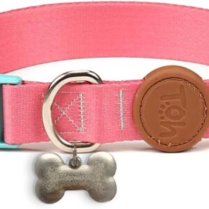 Toh Coleira Avulsa Com Tag Id Fiji Pp