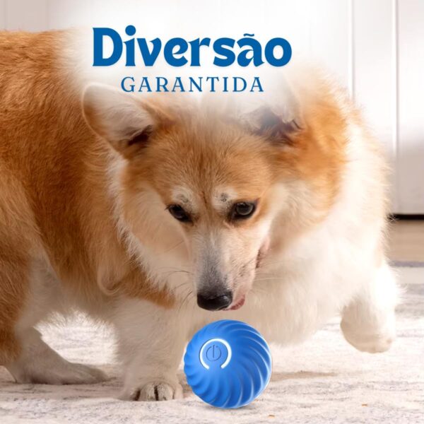 Bolinha Pet Interativa Com Movimento Automático – Brinquedo Interativo Recarregável USB, Estimula Exercícios e Reduz Estresse Premium (AZUL) - Imagem 5