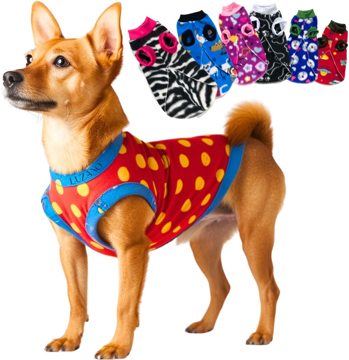 Roupa para Cachorro Roupas de Cachorros Roupinha Pet Cães Gato Soft Frio Inverno (Femea, Tamanho 2)