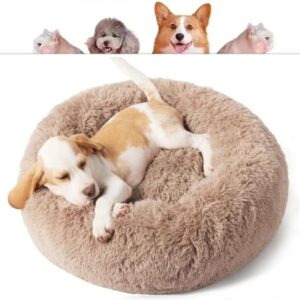 CAMA PET NUVEM PELUCIA REDONDA G 60X60X12 CAMINHA PELUCIADA CASA NINHO Cachorros E Gatos DONUT CASINHA PELUCIA FUNDO ANTIDERRAPANTE E IMPERMEAVEL (CARAMELO)