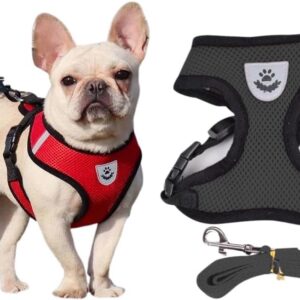 Coleira Peitoral com Guia Cães e Gatos Porte Pequeno a Médio Diversas Cores e Tamanhos (Preto, M)