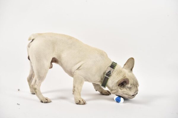 Chalesco Brinquedo Limpa Tártaro para Cães - Imagem 3