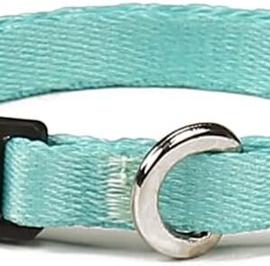 Toh Coleira De Gato U Maresia