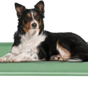 Cama Pet, Cama para Cachorros, Confortável e Higiênica, Manta Cor Verde e Pés Cor Gelo, Acrimet