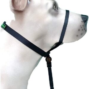 Coleira K9 Spirit Cabresto para Cães Preta - Tamanho G