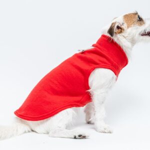 Roupa para Cachorros e Gatos,Roupas Pet Soft, Roupa para Pet, Roupa para Frio (Vermelho, 0)