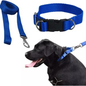 Coleira Com Guia Para Cachorro Pet Grande/médio Resistente (Azul)
