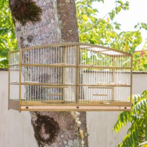 Gaiola de Reprodução, Abaulada Verde Musgo - Canário, Coleira e Curió
