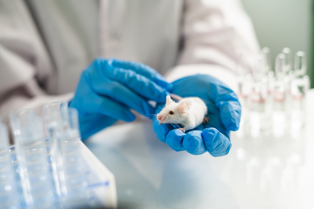 Testes de cosméticos em animais estão proibidos no Brasil