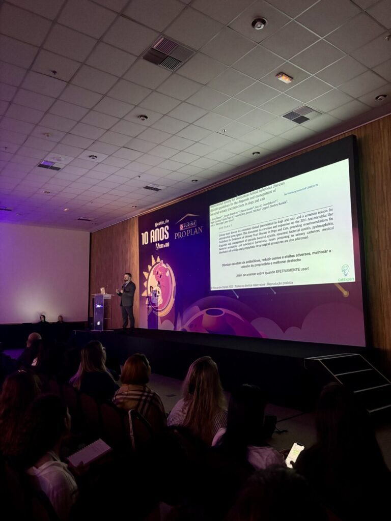 10ª edição do Cat In Rio encerra com sucesso