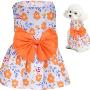 choyaxo Vestido floral para cães, saia fofa para cães, roupas de verão para animais de estimação para filhotes e gatos pequenos