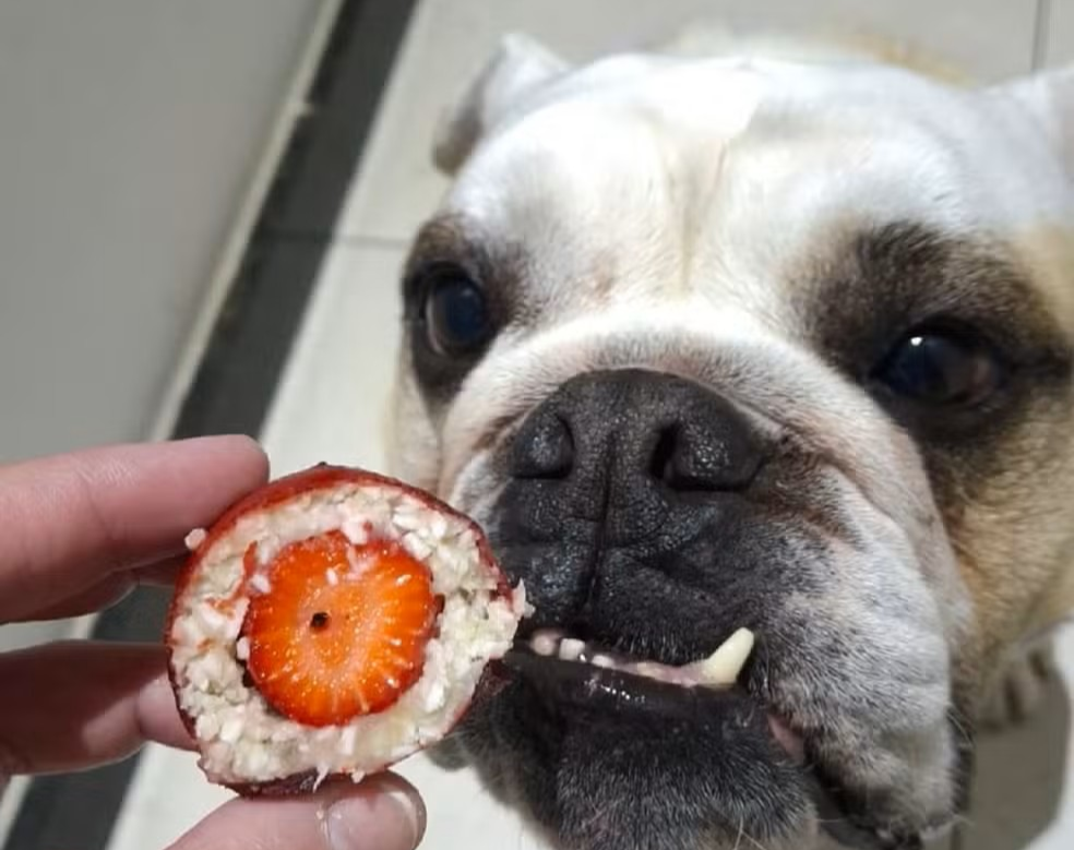 Confeitaria cria morango do 'AUmor' para cães