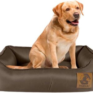 Cama Cachorro Mabuu Pet Caminha Pet Basic Simples Cappuccino Tamanho 3