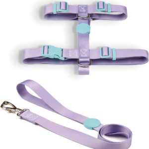 Conjunto Peitoral H E Guia P Lilás