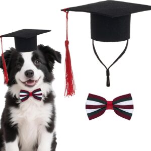 Conjunto de boné de formatura para animais de estimação com coleira de gravata borboleta, roupas de formatura para cães pequenos e gatos, acessório de fantasia (vermelho listrado)