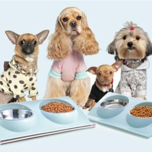 Comedouro e Bebedouro Duplo Elevado para Pets – Gatos e Cães de Pequeno Porte com Tigelas de Aço Inox Antiderrapante