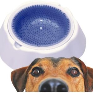 Tigela Gelada para Cães e Gatos - 1000ml