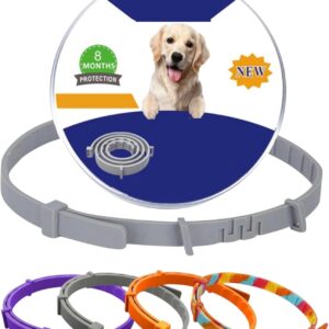 Coleira Anti Pulgas e Carrapatos Para Cães e Gatos | À Prova D’Água, 8 Meses de Proteção, Não Alérgica, Silicone Flexível, Resistente, Anti Piolhos e Mosquitos (Gato (Pequena))