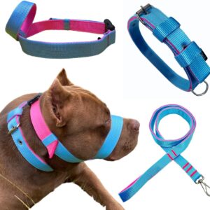 Kit Pet Coleira Guia Focinheira Para Cães Adulto Pitbull Forte (M)