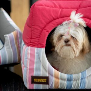 Luppet Toca E Cama Impermeável 2 Em 1 Com Almofada Para Cachorro Ou Gato De 6Kg A 12Kg Verde G