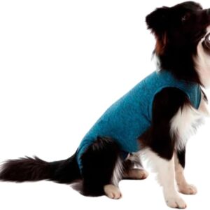 Roupa Cirúrgica, N.04, Pós-Cirurgia, Pós-Operatório, Roupa para Cães, Auxilia na Recuperação, Segura, Macia e Confortável, Verde
