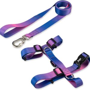 Coleira Peitoral Com Guia Para Cachorro Cães Modelo Tradicional H Tamanho Porte Grande Médio Pequeno (M, Lily)