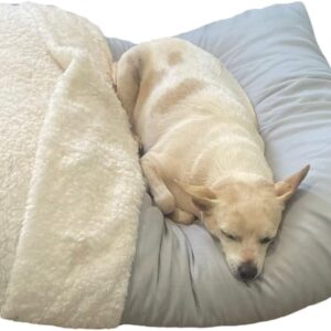 Caminha Pet Com Saquinho De Dormir Canguru Tamanhos M - 70x5 (cinza, Médio)