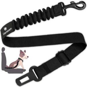 Cinto de Segurança para Cães, Retrátil, Ajustável e Resistente, com Amortecedor Elástico e Mosquetão Giratório