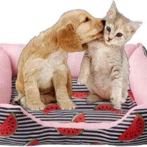 Caminha ESTAMPADA poliester PET Cachorros Gatos cama RETAMGULAR TODA ACOLCHOADA 66x47x12 G (ROSA)