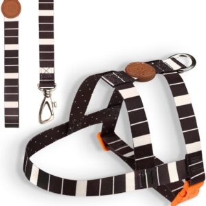 Toh Conjunto Peitoral Tradicional E Guia Eclipse M