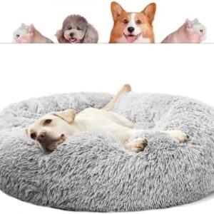 CAMA PET NUVEM PELUCIA REDONDA M 50X50X12 CAMINHA PELUCIADA CASA NINHO Cachorros E Gatos DONUT CASINHA PELUCIA FUNDO ANTIDERRAPANTE QUALIDADE PREMIUM (CINZA)