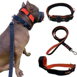 Super Kit Coleira Guia e Focinheira Pet Para Cães Forte Adulto Pitbull (G)