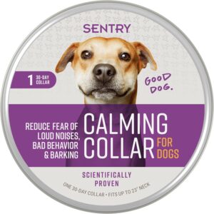 SENTRY Coleira calmante PET Care Sentry para cães, coleira de feromônios redutores de ansiedade, libera feromônios por 30 dias, ajuda a acalmar durante ruídos altos e separação, 1 unidade, roxo
