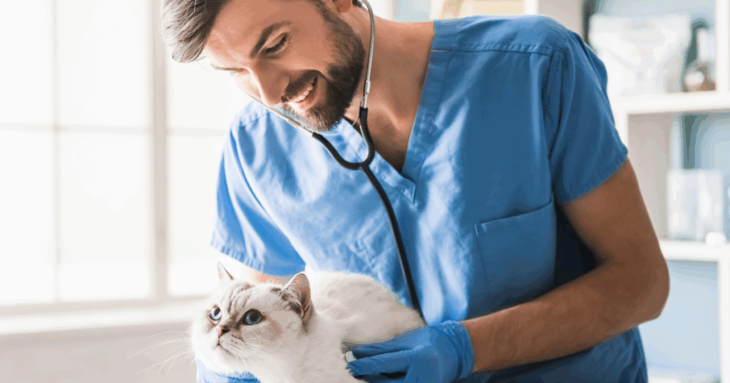 Segmento pet e veterinário concentra quase 50% dos créditos do BNDES
