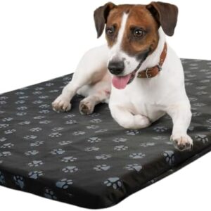 Cama Impermeável P/Cães - Colchonete. Capa Sai - M 70x50 - Estampa Patinhas (Preto)