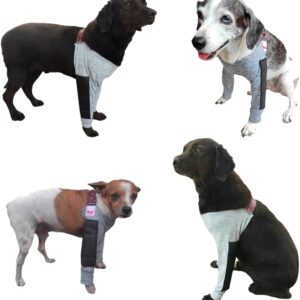 Cotoveleira Ortopédica Acolchoada para Cachorros - Pernas Dianteiras - Proteção Contra Calos e Higromas (9)
