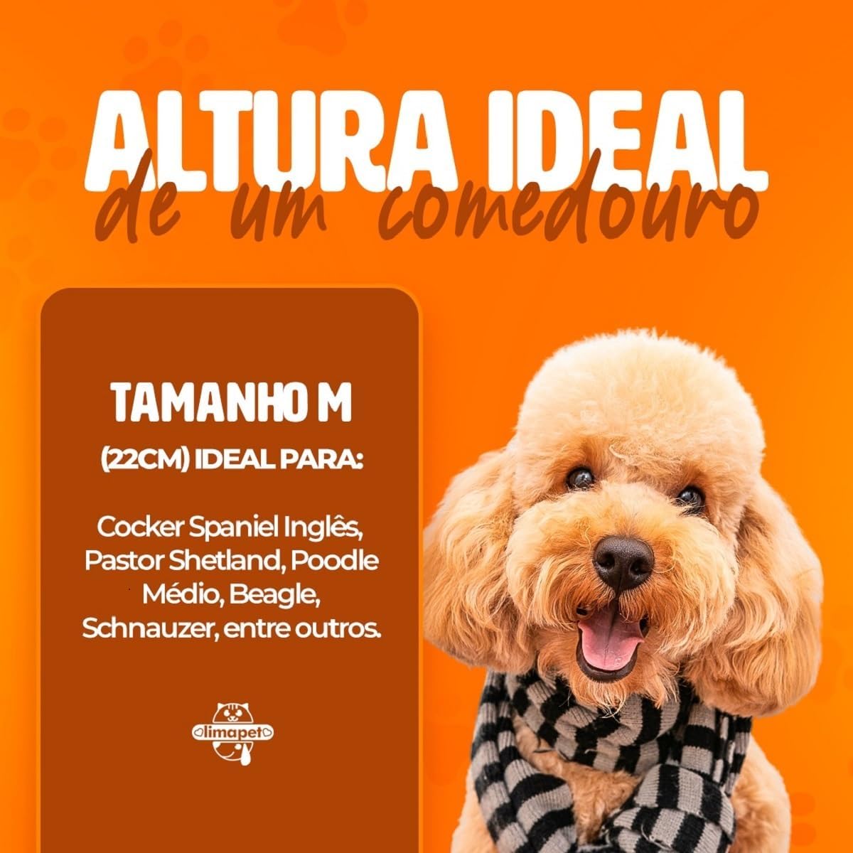 Comedouro Elevado Duplo para Cães, Tigelas em Aço Inox Removíveis, Base de aluminio com Desenho de Pata (preto) - Imagem 8