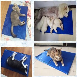 Tapete Gelado Refrescante M - 50 Cms X 60 Cms para Cães e Gatos Tapete Térmico Para Pets