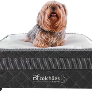 Cama Box Pet + Lençol Impermeável para Cachorros e Gatos Luxo Bf Colchões