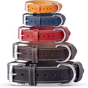 Coleira de couro legítimo, coleira de couro ajustável para cães pequenos e grandes (médio: pescoço 33-42 cm, preto)