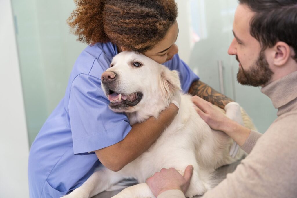 Estudo traz mais precisão ao prognóstico do mastocitoma canino