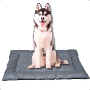 Cama Caminha Colchonete Cinza Grande 90x70cm para Cachorro e Gato de Suede Lavável Almofada Pet Macia Confortável