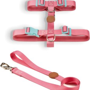 Toh Conjunto Peitoral H E Guia Fiji P